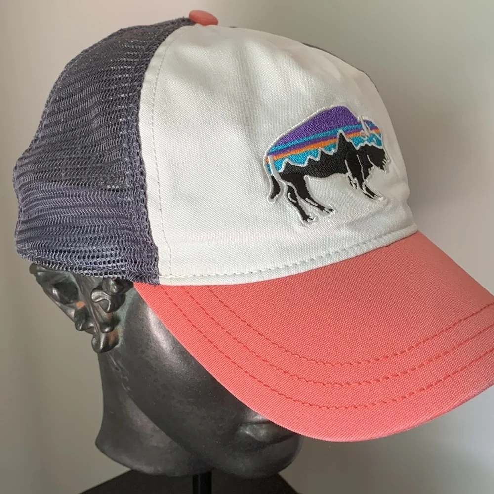 Patagonia Fitz Roy Bison Hat